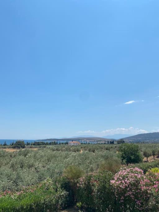 Georges Villa Galaxidi, Family, Pool And Garden מראה חיצוני תמונה