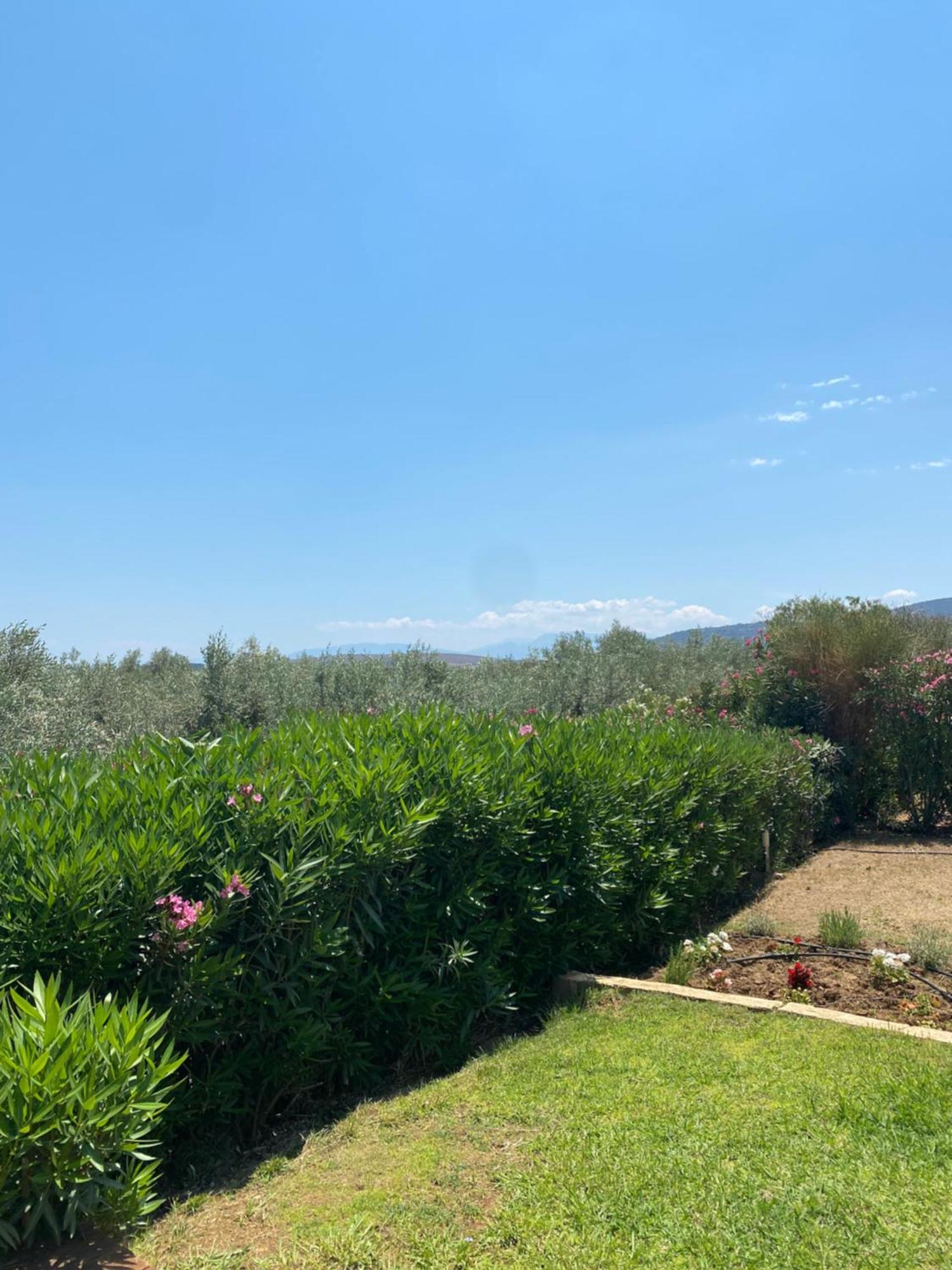 Georges Villa Galaxidi, Family, Pool And Garden מראה חיצוני תמונה