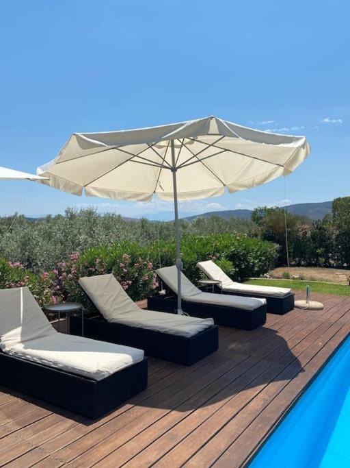 Georges Villa Galaxidi, Family, Pool And Garden מראה חיצוני תמונה