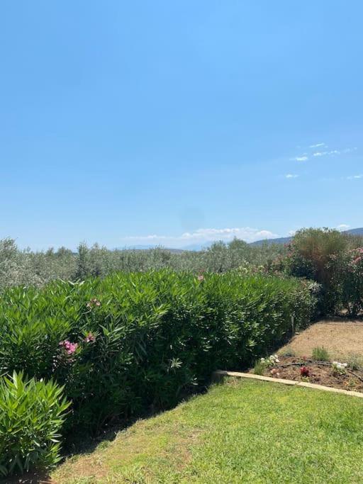 Georges Villa Galaxidi, Family, Pool And Garden מראה חיצוני תמונה