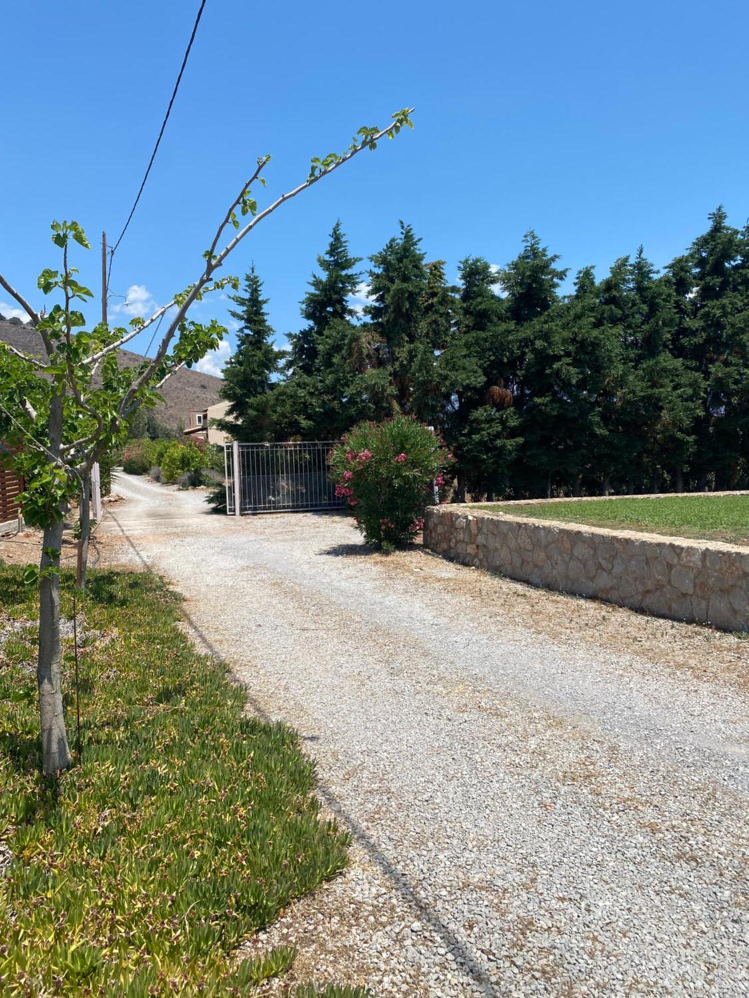 Georges Villa Galaxidi, Family, Pool And Garden מראה חיצוני תמונה